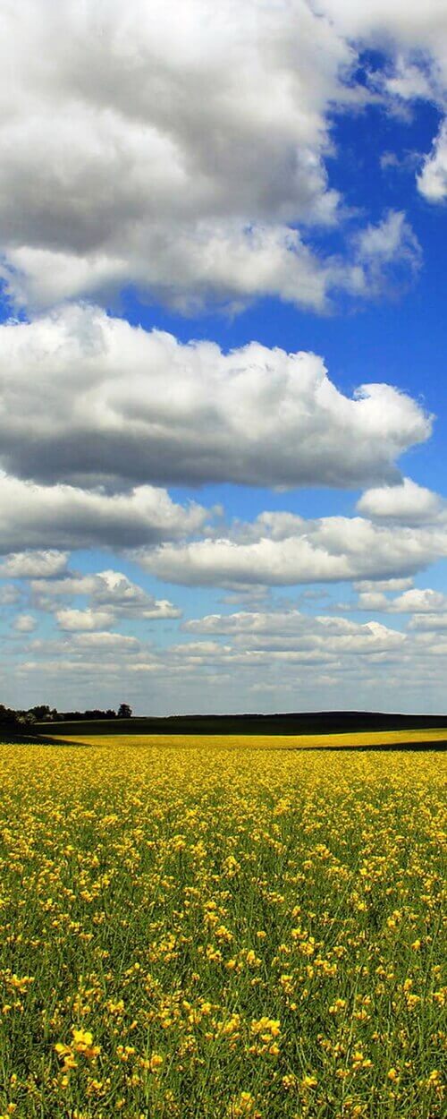 Пример изображения для макета изображения на стекле, фото 6